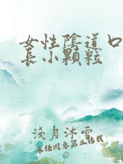 女性阴道口内口长小颗粒