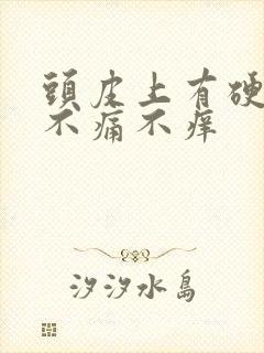 头皮上有硬疙瘩不痛不痒