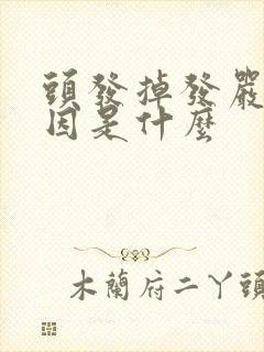 头发掉发严重原因是什么