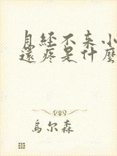 月经不来小肚子还疼是什么原因