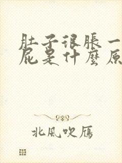 肚子很胀一直放屁是什么原因