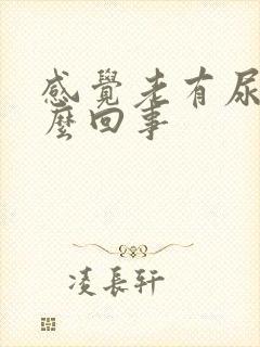 感觉老有尿是怎么回事