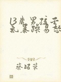 13岁男孩子脾气暴躁易怒怎么办