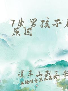 7岁男孩子尿床原因