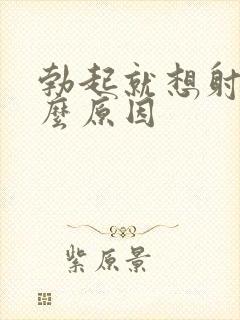 勃起就想射是什么原因