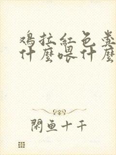 鸡拉红色粪便是什么喂什么药