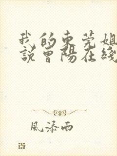 我的东莞姐姐小说曹阳在线阅读