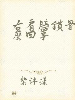 右肩膀锁骨疼怎么回事