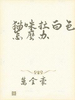 猫咪拉白色粑粑怎么办