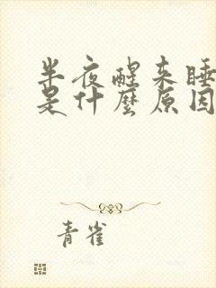 半夜醒来睡不着是什么原因吃什么药