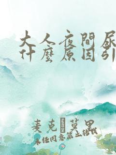 大人夜间尿床是什么原因引起的