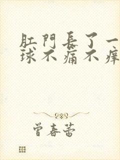 肛门长了一个肉球不痛不痒不出血软