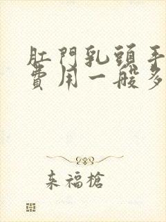 肛门乳头手术的费用一般多少