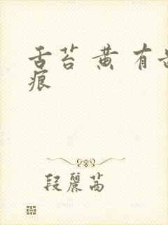 舌苔 黄 有齿痕