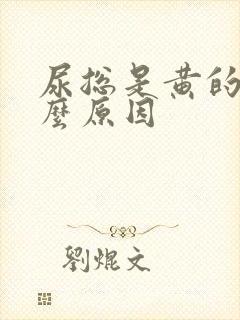 尿总是黄的是什么原因