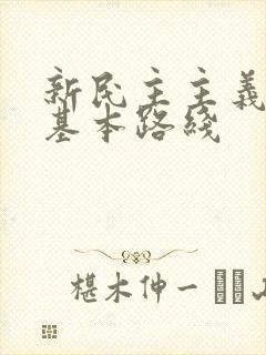 新民主主义革命基本路线