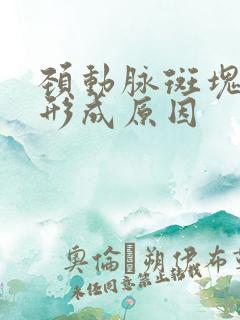 颈动脉斑块主要形成原因