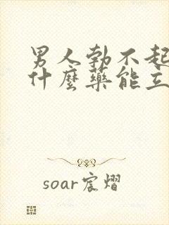 男人勃不起来吃什么药能立马硬起来