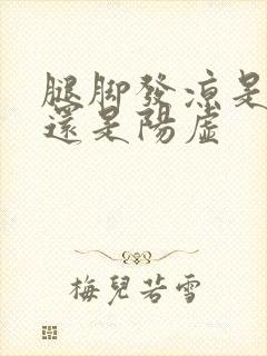 腿脚发凉是阴虚还是阳虚