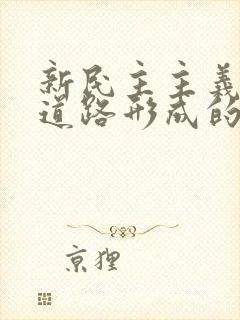 新民主主义革命道路形成的必然性和可能性