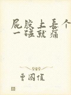 屁股上长个硬包一碰就痛