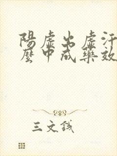 阳虚出虚汗吃什么中成药效果好