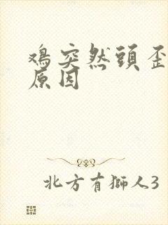 鸡突然头歪什么原因