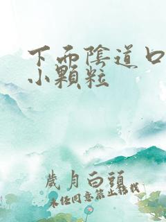 下面阴道口处有小颗粒