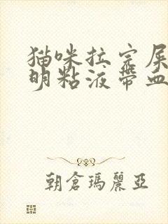 猫咪拉完屎有透明粘液带血