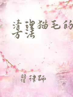 清理猫毛的5种方法