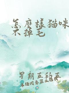 怎么样猫咪才能不掉毛