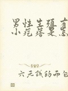 男性生殖有好多小疙瘩是怎么回事