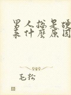 男人总是硬不起来什么原因