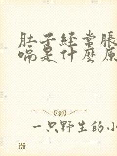 肚子经常胀气打嗝是什么原因