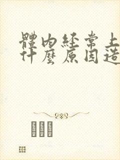 体内经常上火是什么原因造成的