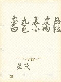 睾丸表皮凸起的白色小肉粒