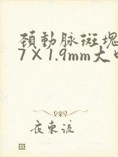 颈动脉斑块8.7×1.9mm大吗