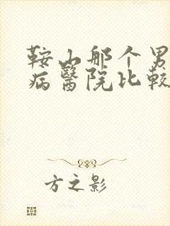 鞍山那个男性疾病医院比较好