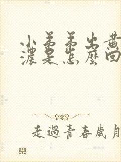 小弟弟出黄色的浓是怎么回事