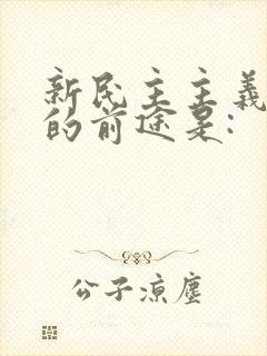 新民主主义革命的前途是: