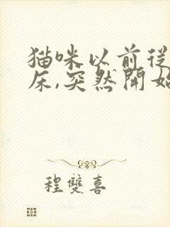 猫咪以前从不尿床,突然开始尿床