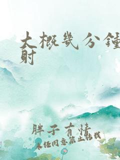 大概几分钟算早射