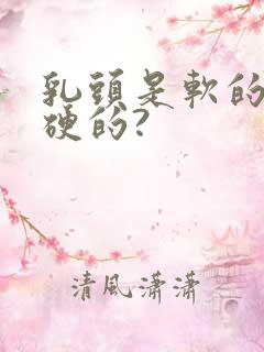 乳头是软的还是硬的?