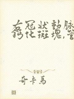 右冠状动脉近段钙化斑块,管腔轻度狭窄