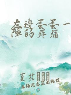 左边蛋蛋一阵一阵的疼痛