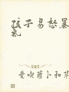 孩子易怒暴躁脾气