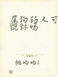 属狗的人可以带貔貅吗