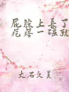 屁股上长了个硬疙瘩一碰就疼