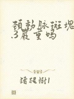 颈动脉斑块厚1.3严重吗