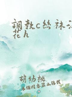 调教c丝袜淫校花h